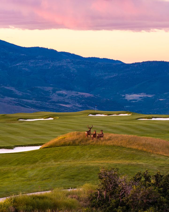 Skyline golf course at Marcella Jordanelle Ridge, Summer 2026