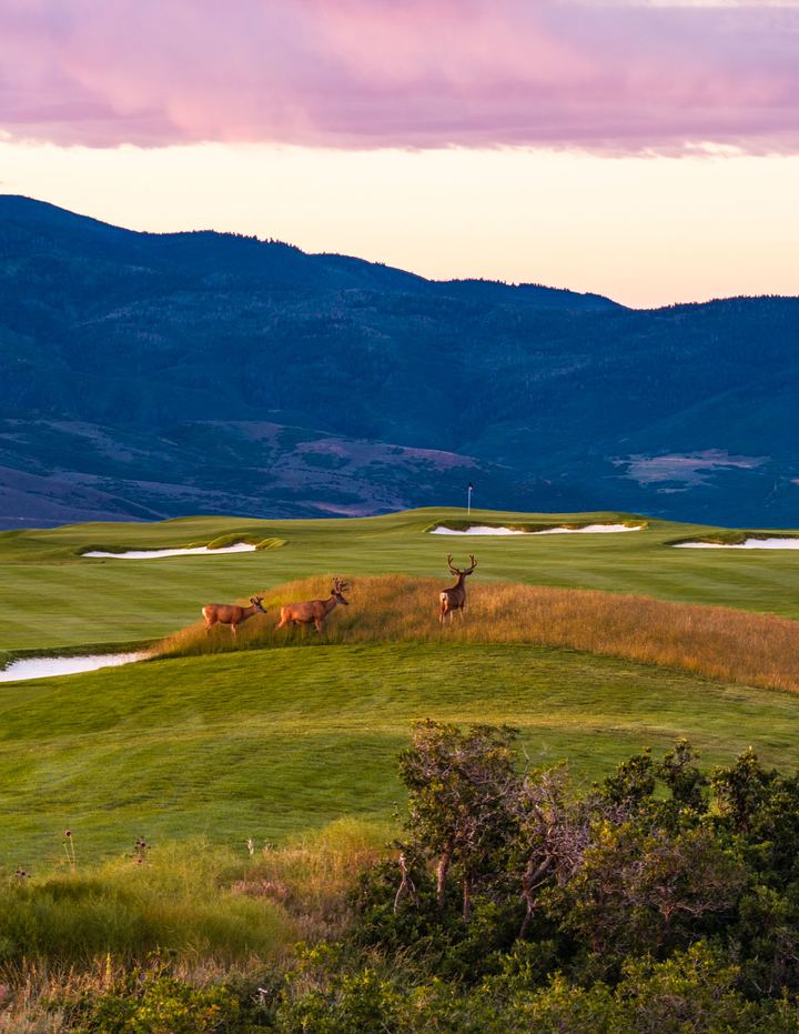 Skyline golf course at Marcella Jordanelle Ridge, Summer 2026